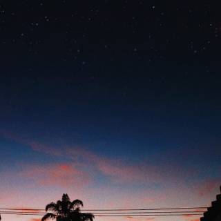 Night summer moon wallpaper