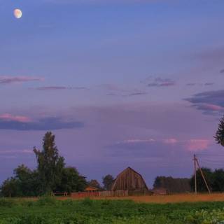 Summer moon desktop wallpaper