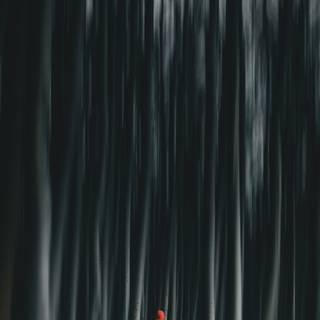 Aesthetic horror wallpaper