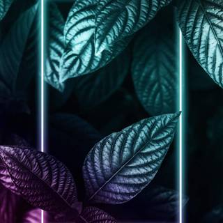 Plant geometry wallpaper