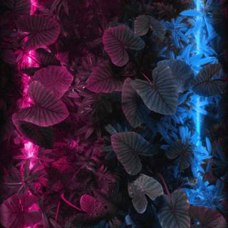 Plant geometry wallpaper