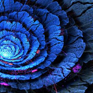 Plant geometry wallpaper