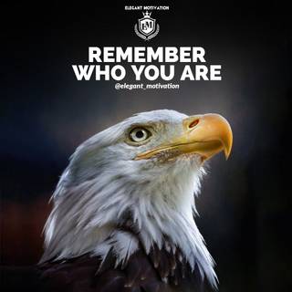 Eagle quotes wallpaper