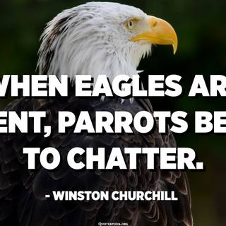 Eagle quotes wallpaper