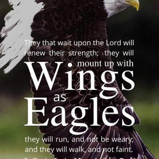 Eagle quotes wallpaper