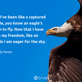 Eagle quotes wallpaper