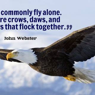 Eagle quotes wallpaper