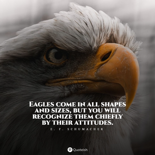 Eagle quotes wallpaper