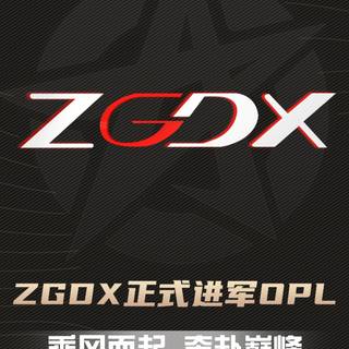 ZGDX wallpaper