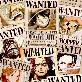 Franky Wanted wallpaper