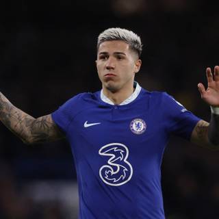 Chelsea Enzo wallpaper