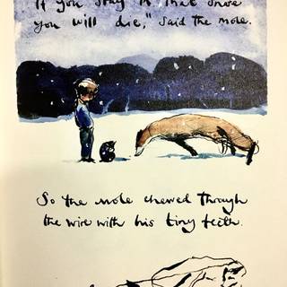 The Boy The Mole The Fox and The Horse wallpaper