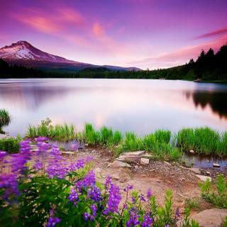 Lake scene wallpaper