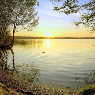 Lake scene wallpaper