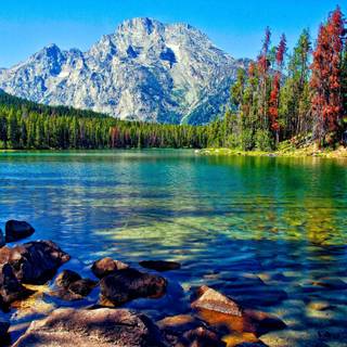 Lake scene wallpaper