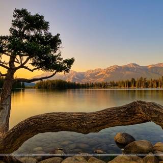 Lake scene wallpaper