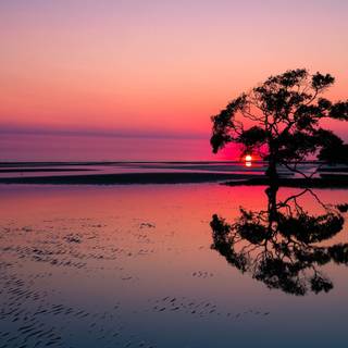 Lake scene wallpaper