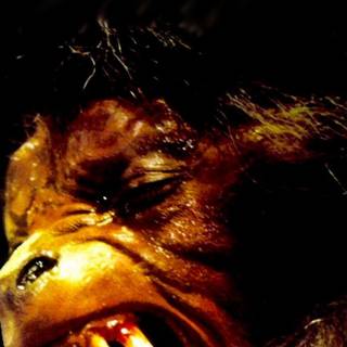 An American Werewolf in London wallpaper