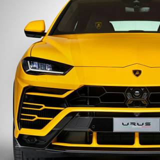 Car rental wallpaper