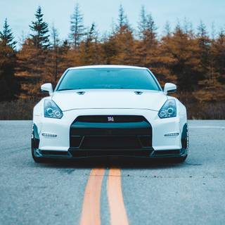 Car rental wallpaper