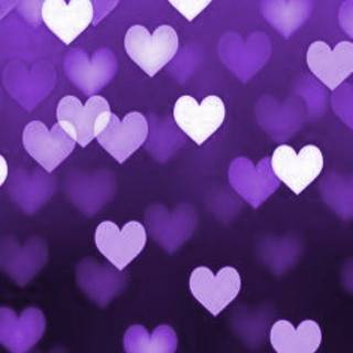 Valentine purple wallpaper