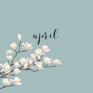 Cute springs wallpaper