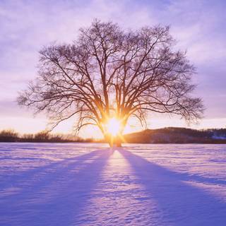 Sunset Japan winter wallpaper