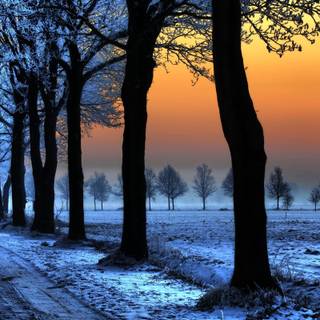 Sunset Japan winter wallpaper