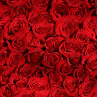 Valentines triple monitor wallpaper