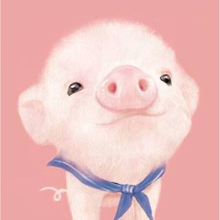Valentines pigs wallpaper
