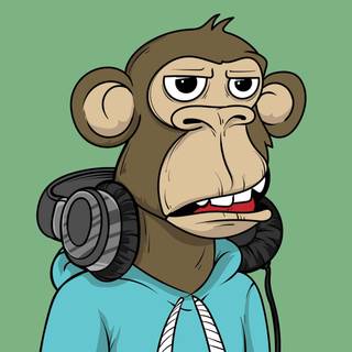 NFT monkeys wallpaper