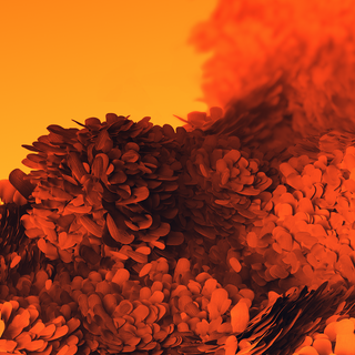 Orange iPhone 4k wallpaper