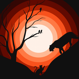 Orange iPhone 4k wallpaper