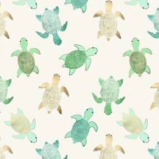 Kawaii turtles wallpaper