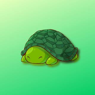 Kawaii turtles wallpaper