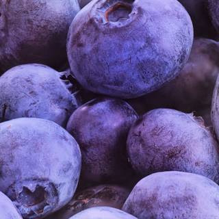 Purple food wallpaper