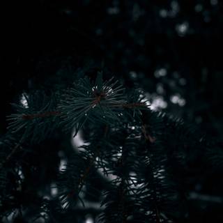 Cool edits wallpaper