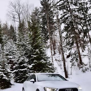 Audi snow wallpaper
