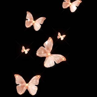 Brown butterfly wallpaper