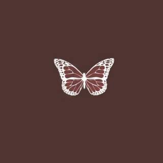 Brown butterfly wallpaper
