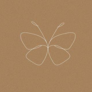 Brown butterfly wallpaper