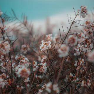 Cool edits wallpaper