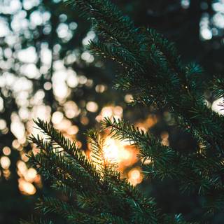 Cool edits wallpaper