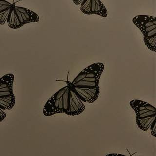 Brown butterfly wallpaper