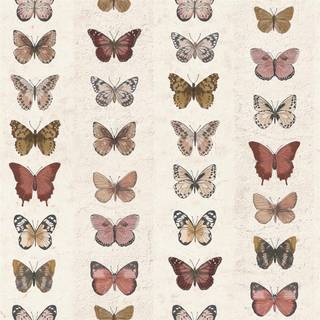 Brown butterfly wallpaper