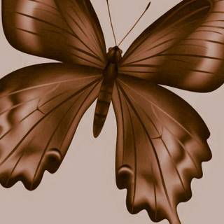 Brown butterfly wallpaper