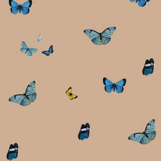 Brown butterfly wallpaper