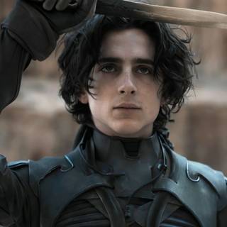Paul Atreides wallpaper