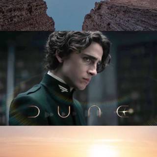 Paul Atreides wallpaper