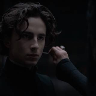 Paul Atreides wallpaper